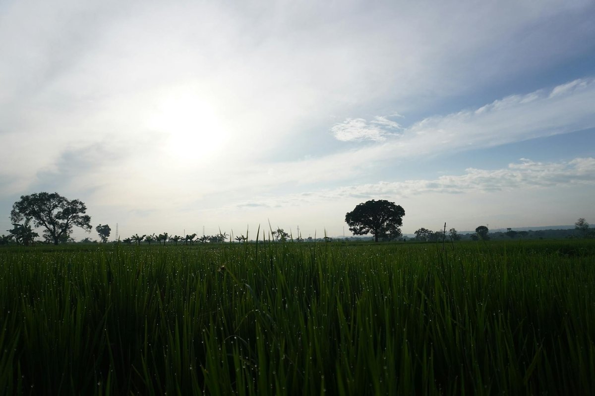 Mount Lamongan