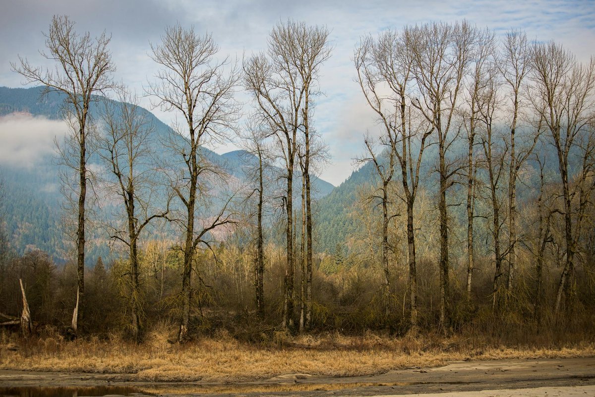 Harrison Lookout