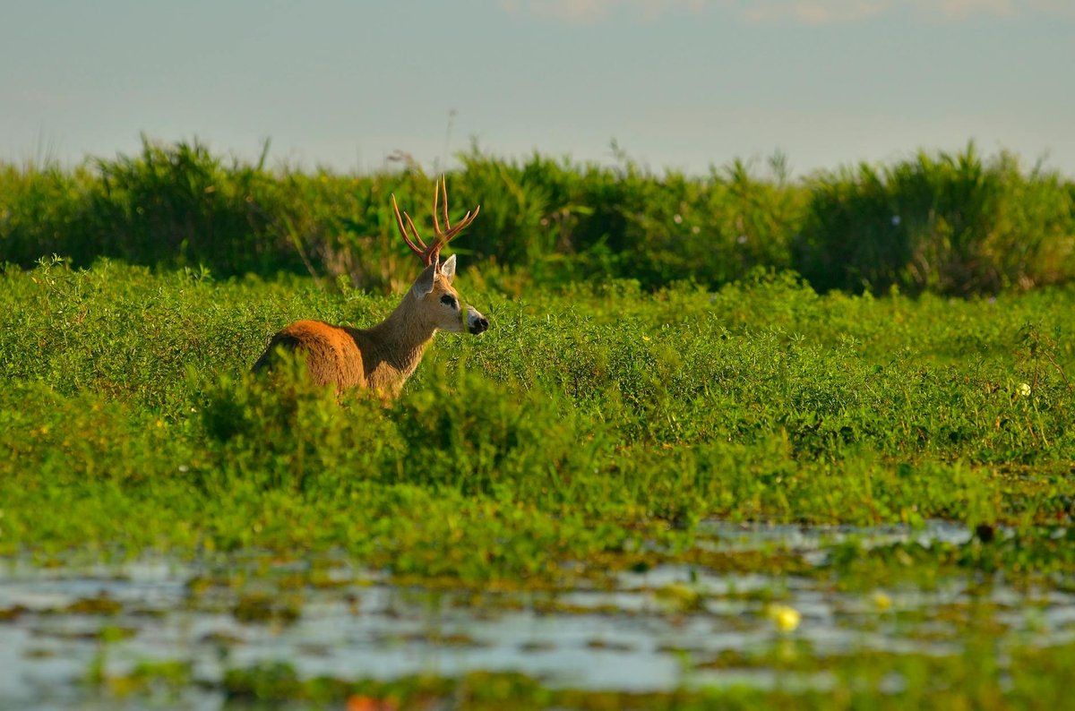 Parque nacional Otishi