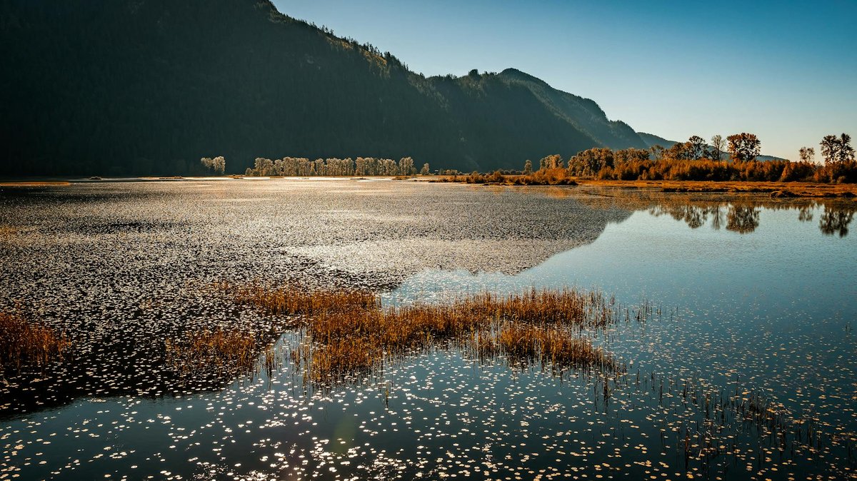 Beatty Marsh Beach