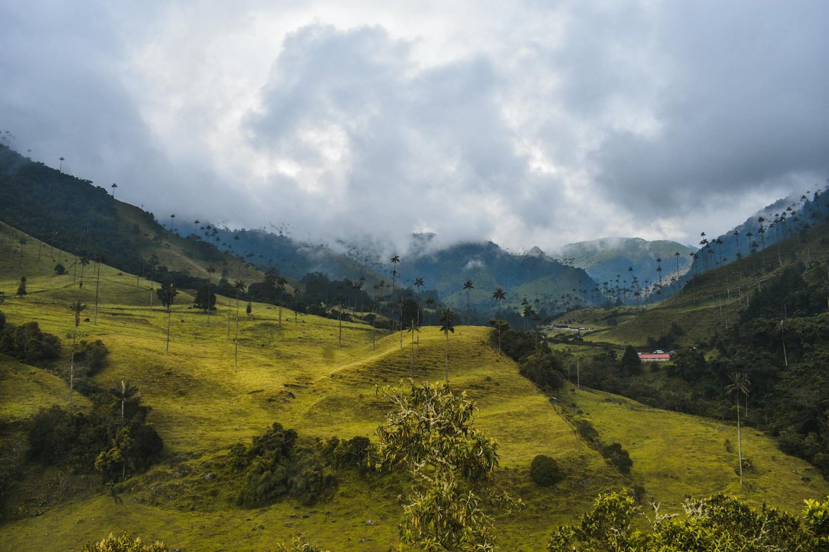 Selva de Florencia National Natural Park