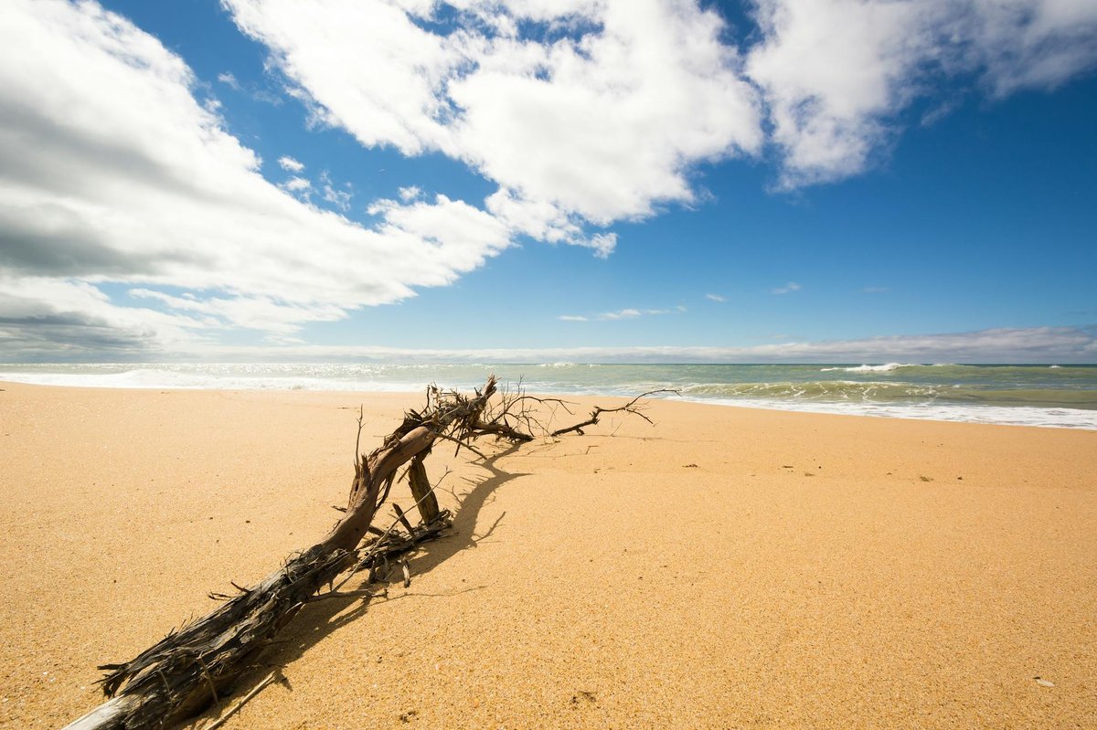 Blenheim Beach