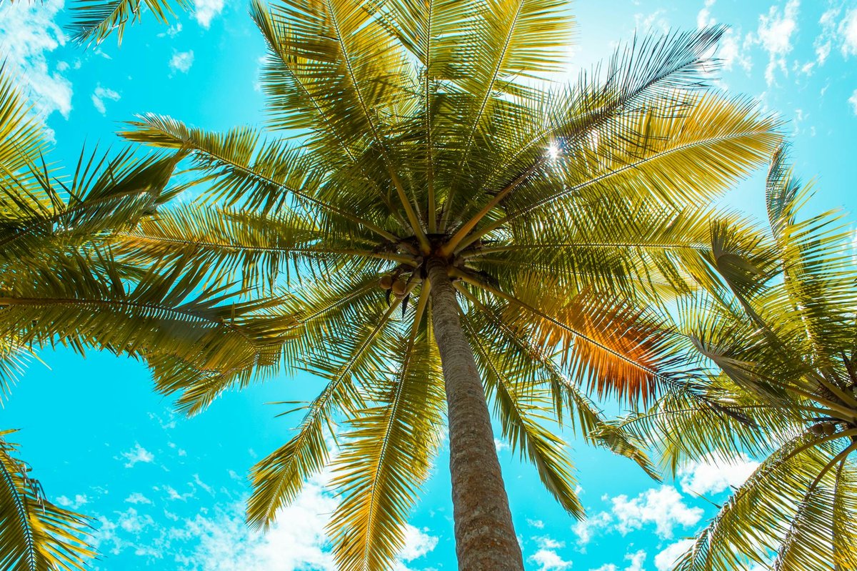 Playa Bejuco