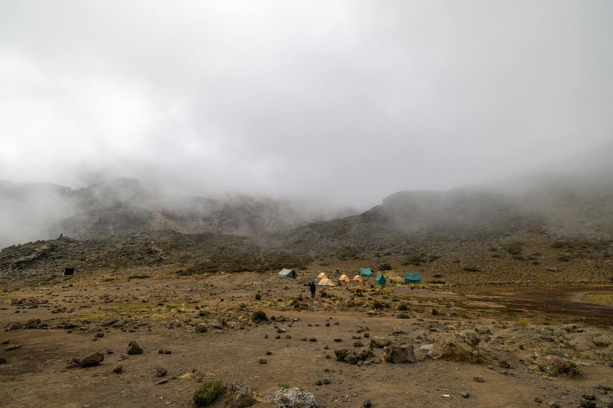 Mawenzi