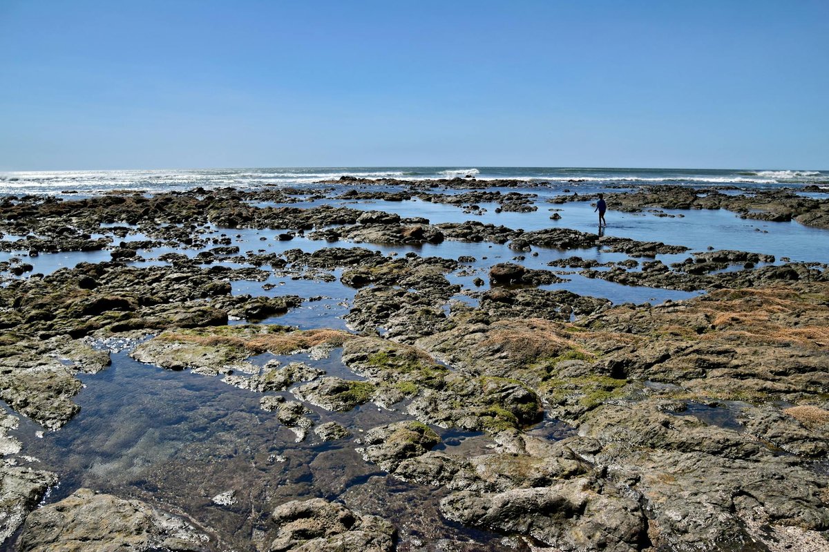 Colonia Beach