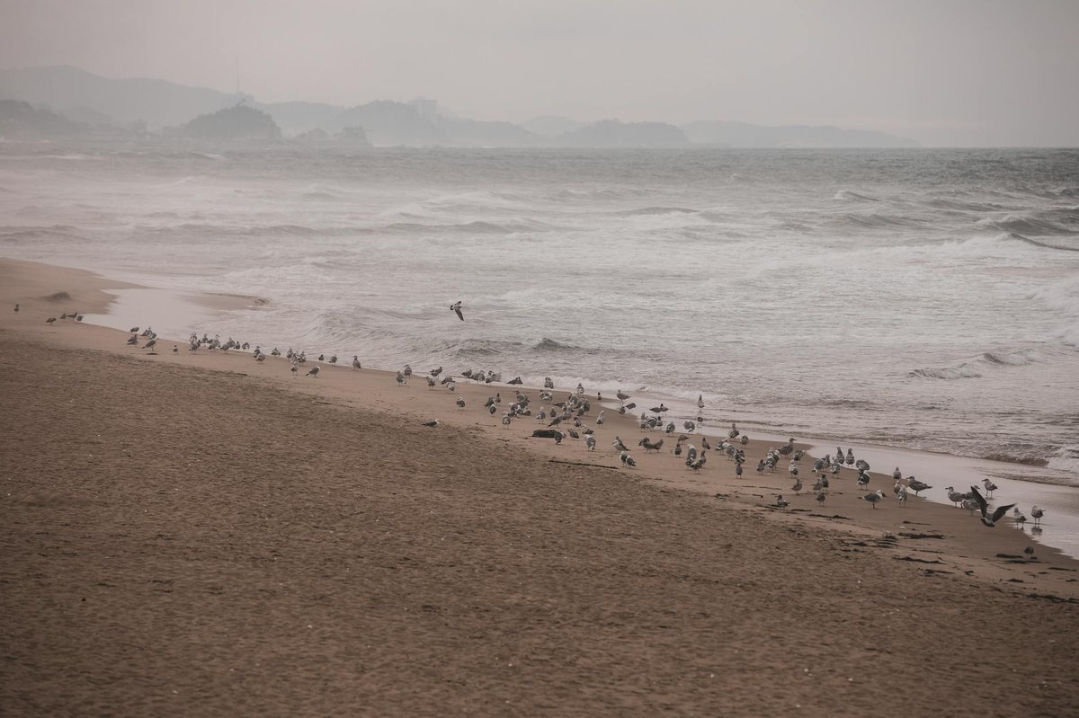Songjeong Beach (Gangneung)