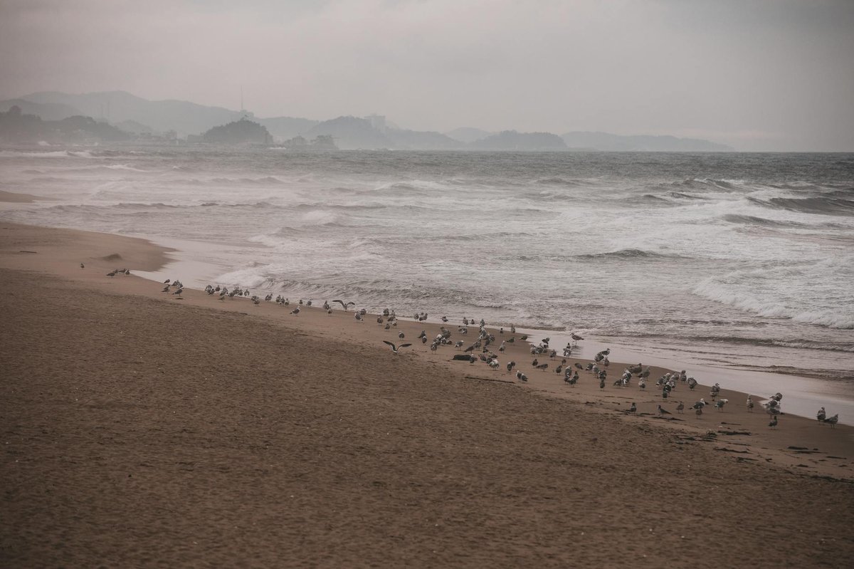 Jangho Beach