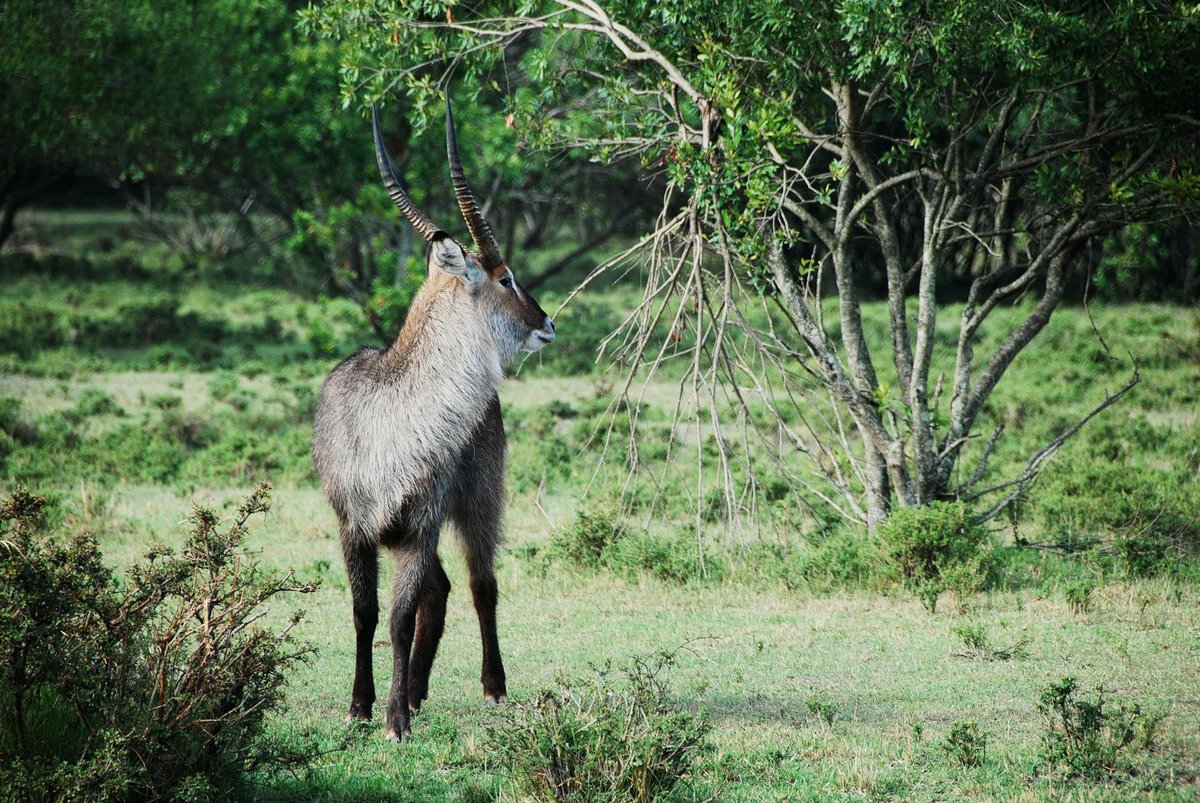 Rajbari National Park