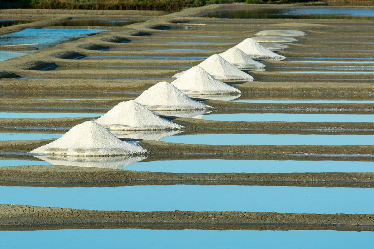 Salt de la Botzegada