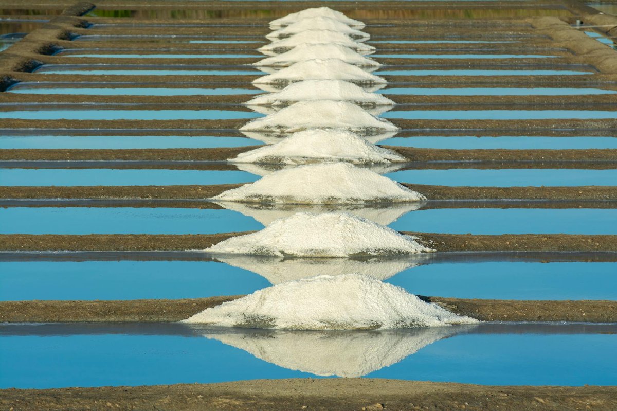 Salt de la Baga Cerdana