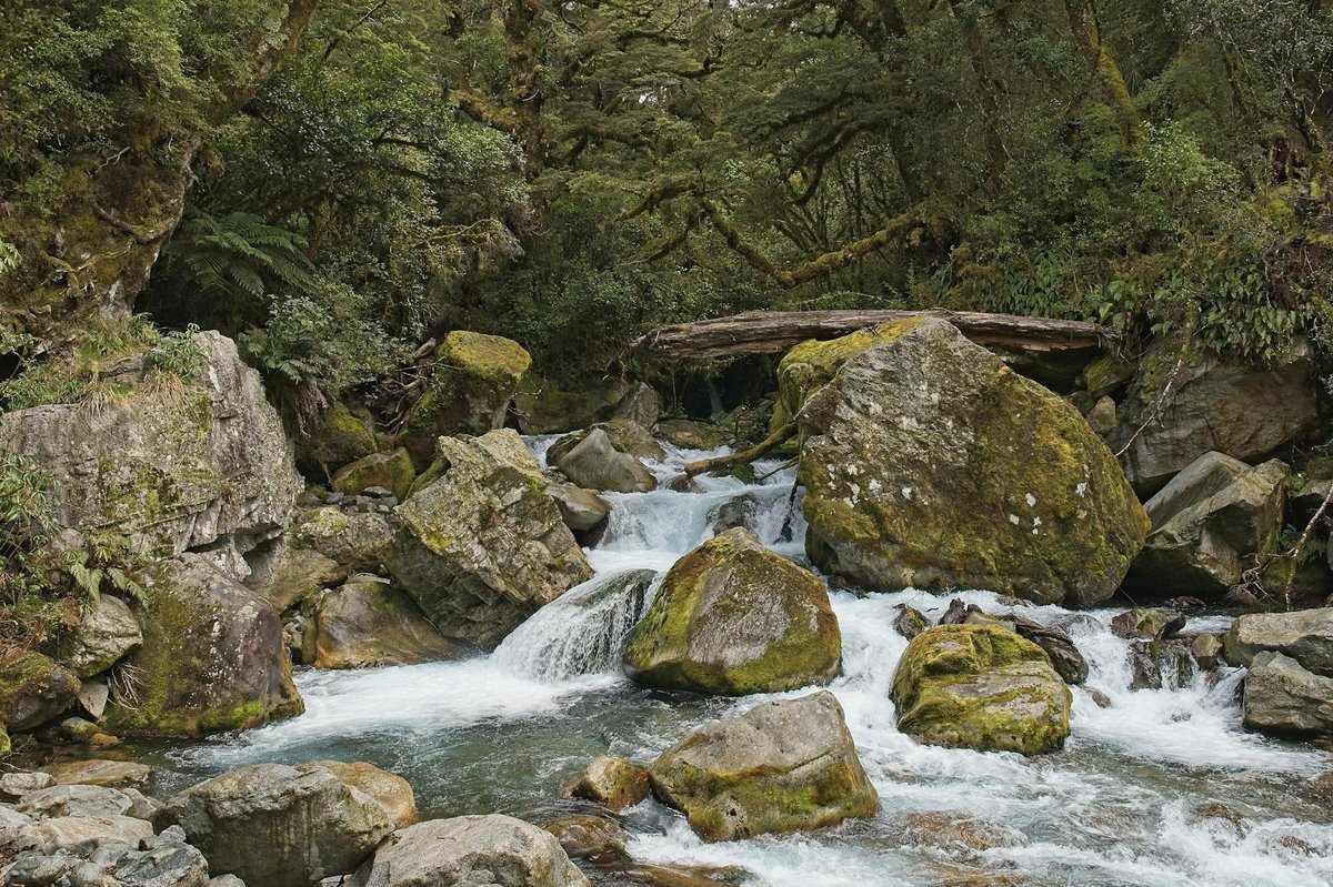 Kelly Stream Waterfall