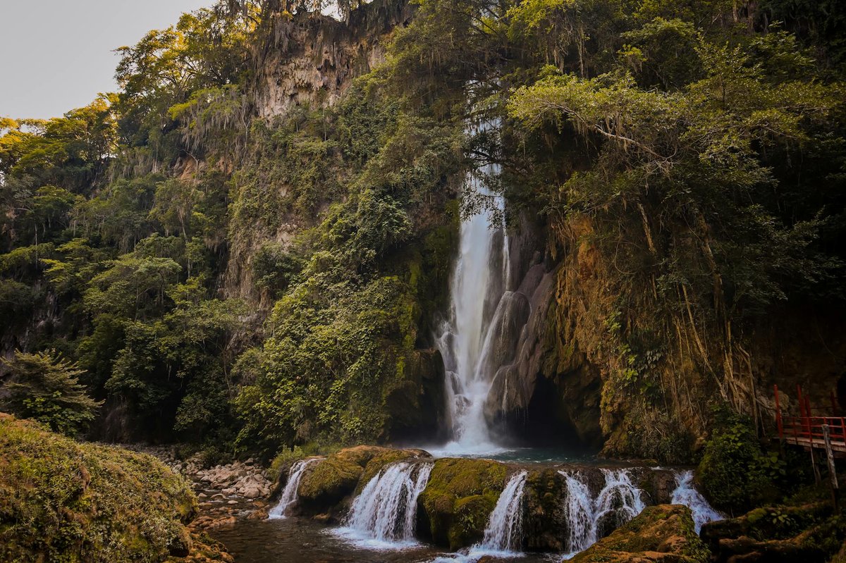 Cascada Tomata