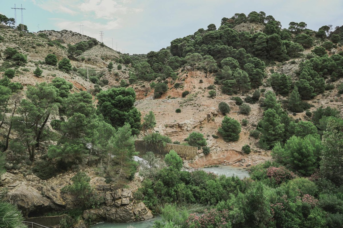 Laguna del Rey