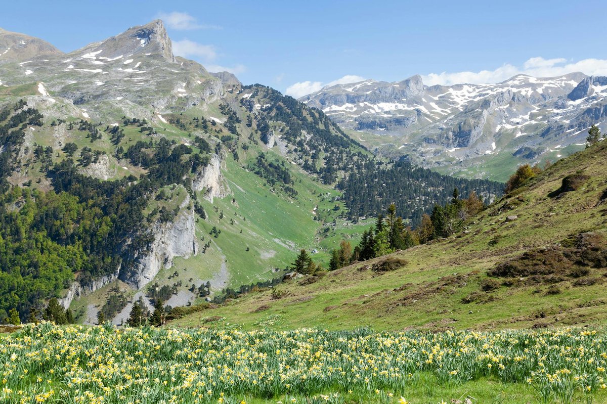 Pyrénées-Atlantiques