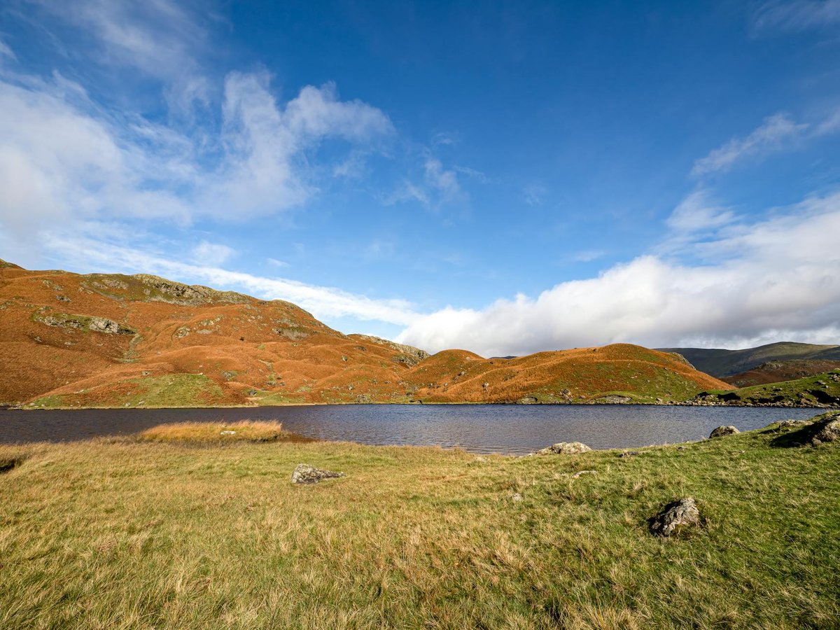 Barfield Tarn