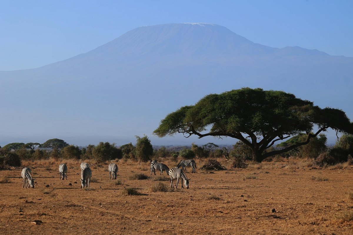 Kilimanjaro National Park