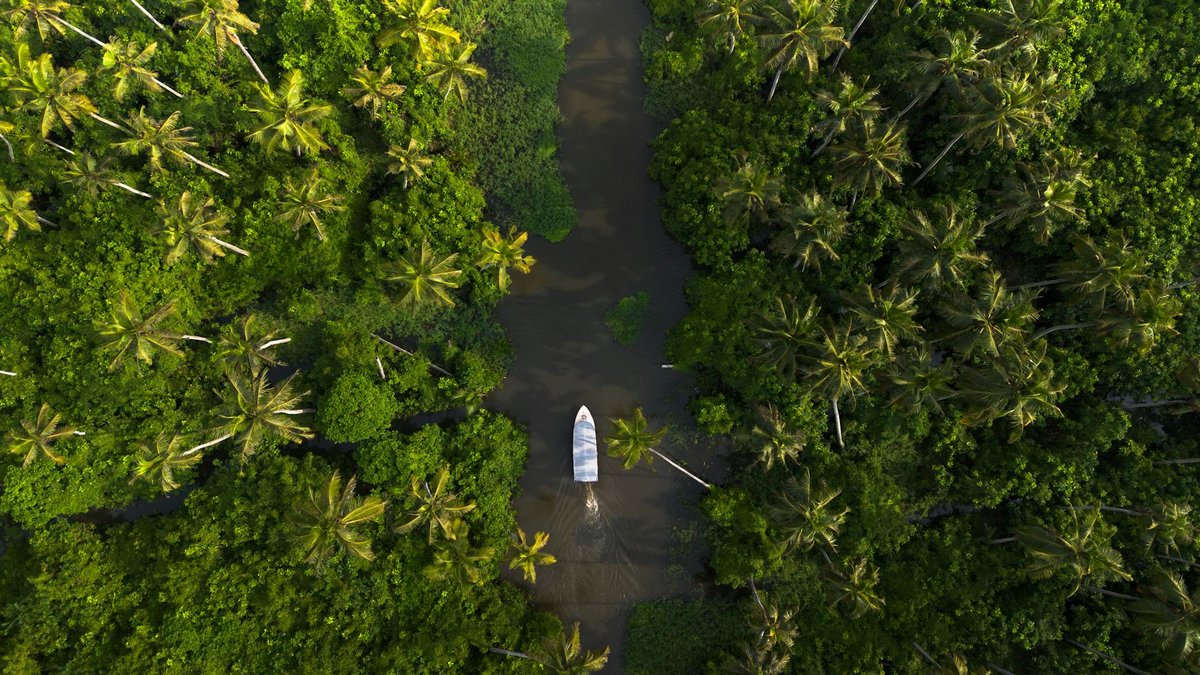 Backwater