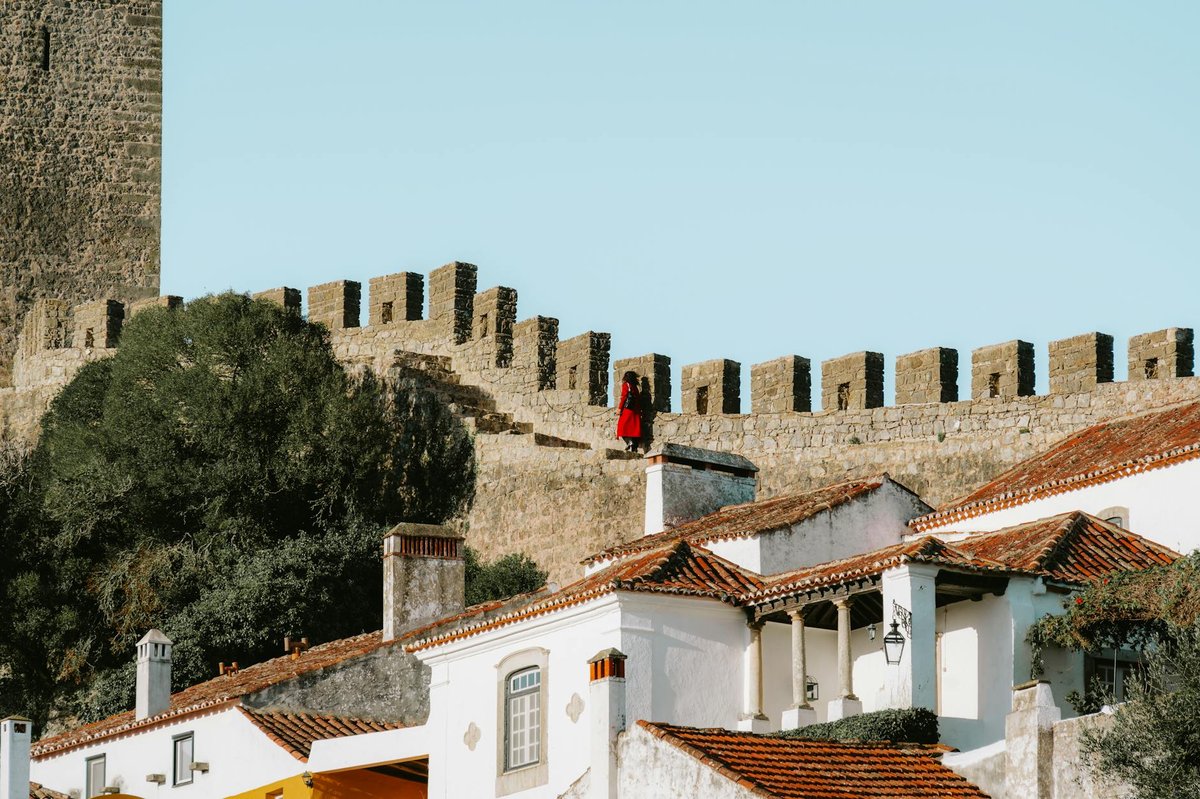Castle of Avô