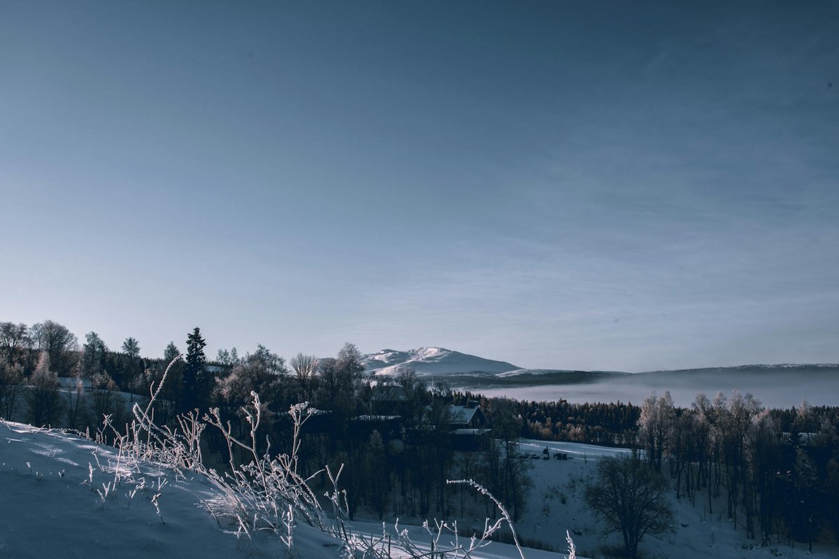 Jeknaffojägna