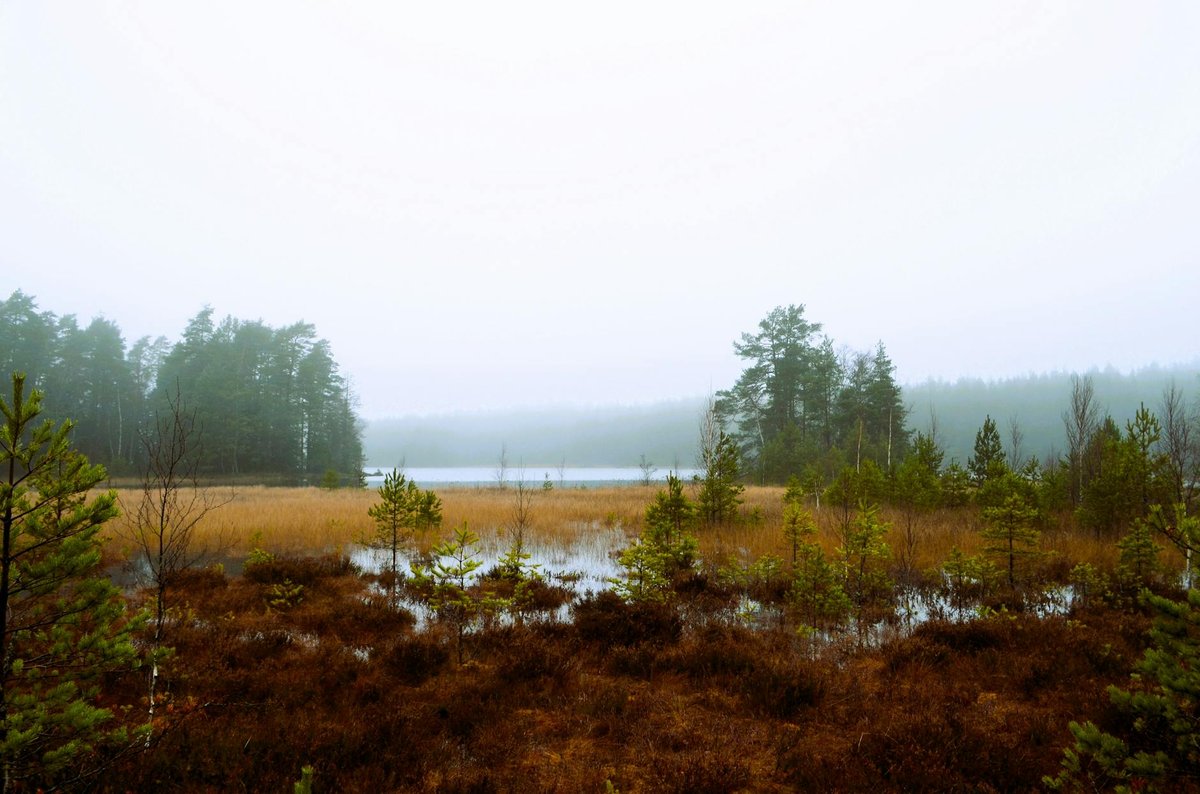 Bothnian Bay National Park