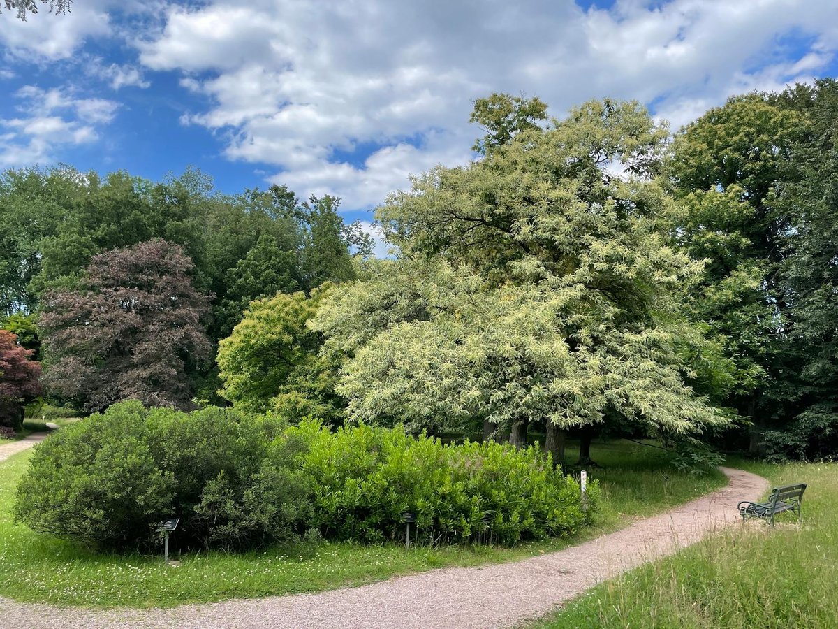 De Vossenberg
