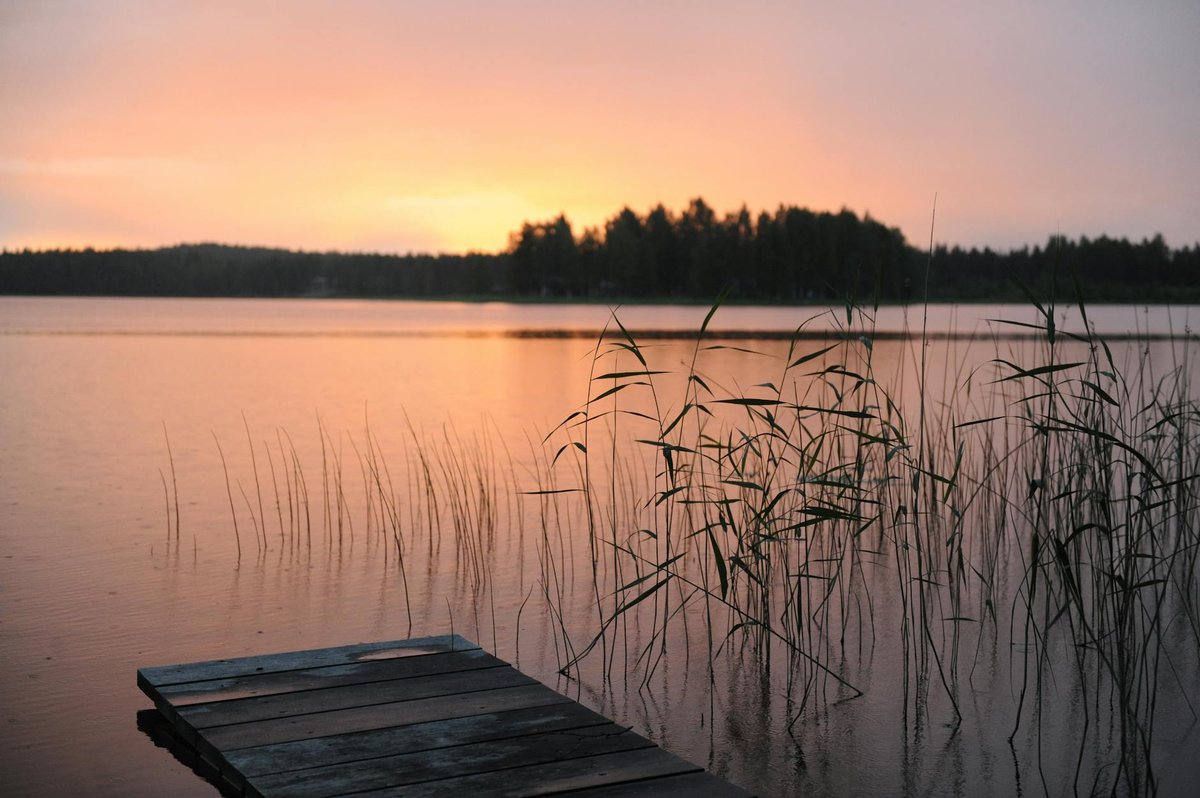 Kohpevaarri