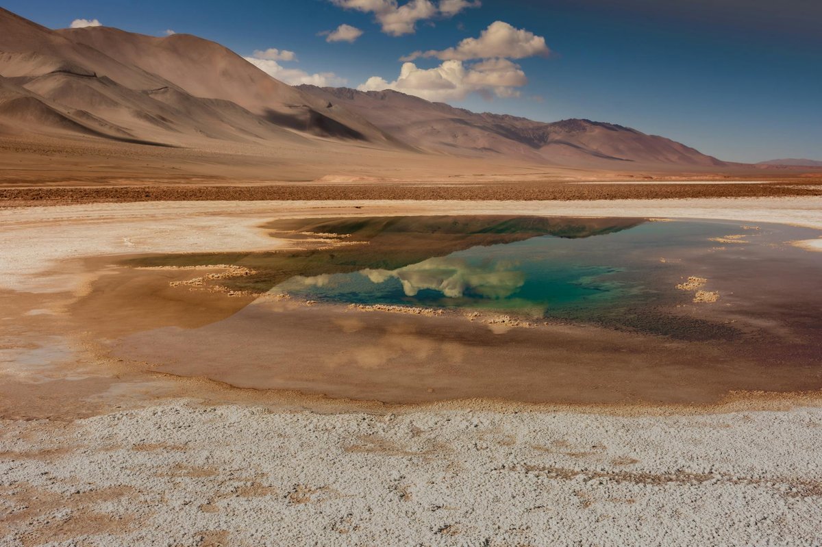 Salar Caucota