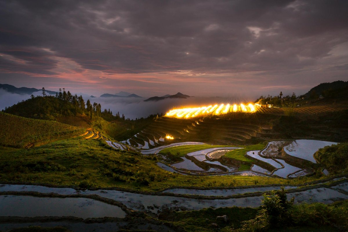Tegallalang Rice Terrace