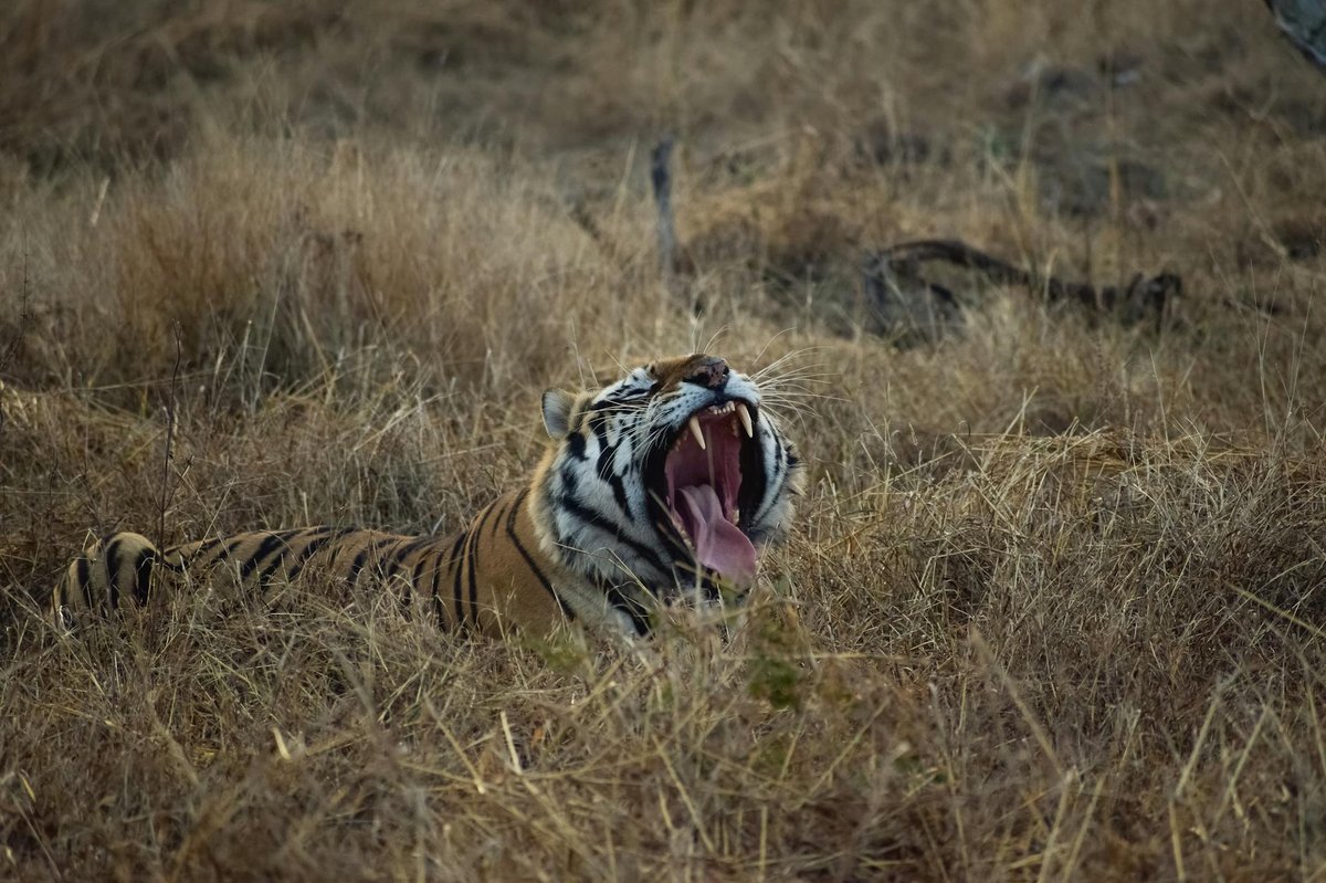 Panna National Park