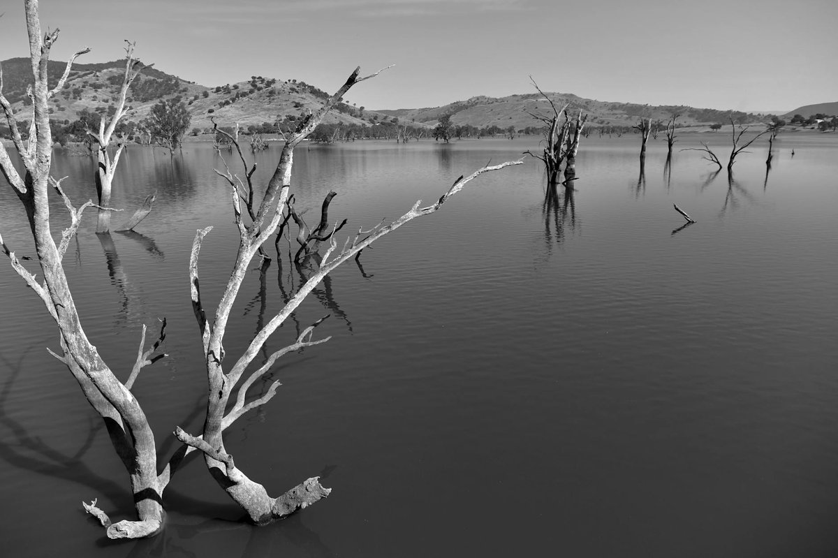 Ana Branch Lake