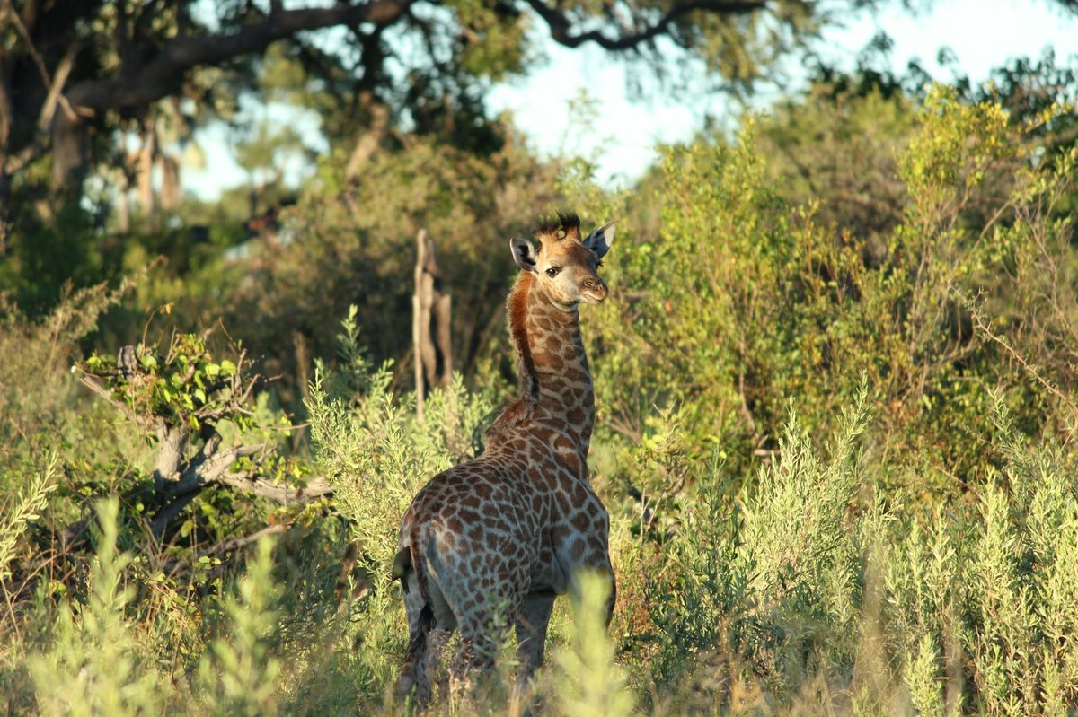 Axios-Loudias-Aliakmonas Delta National Park