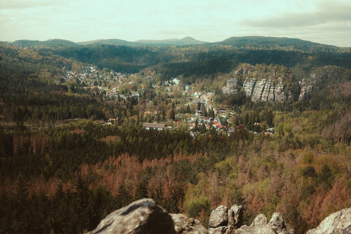 Hunsrück-Hochwald National Park