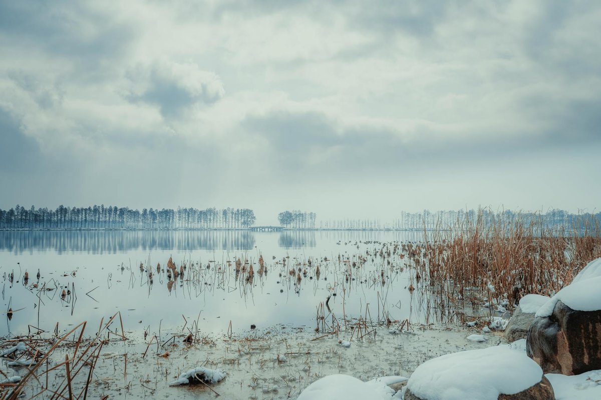 Dongbaekdongsan Wetland