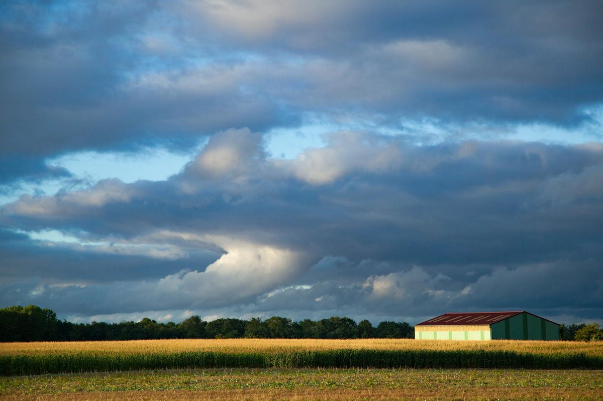 Val-de-Marne