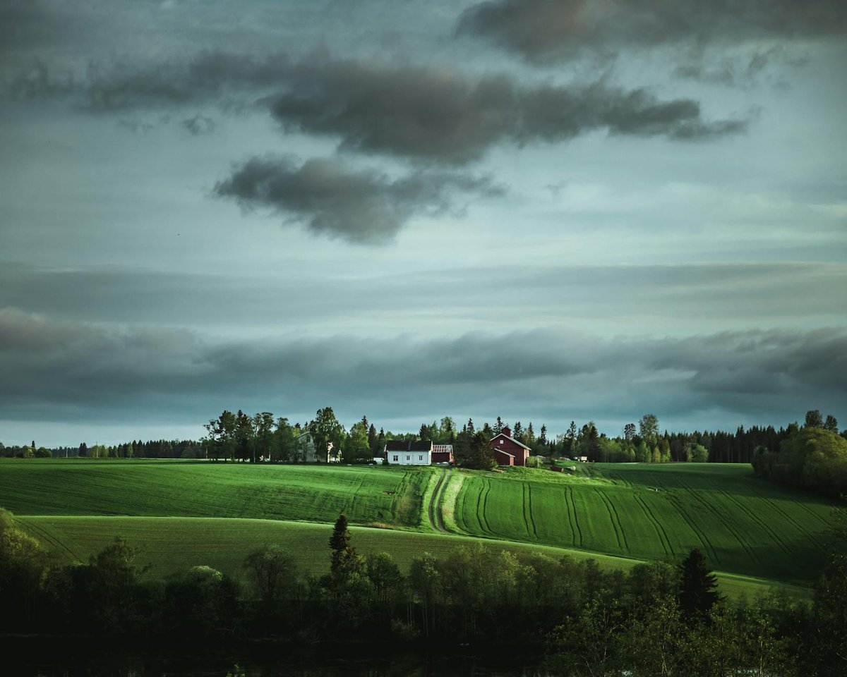 Bjerkliforsen