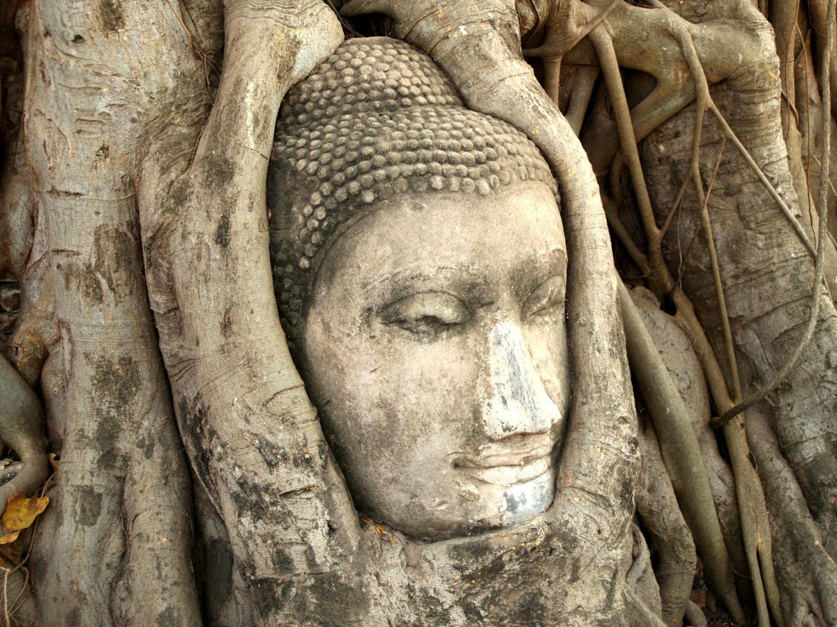 Banyan Valley Cave
