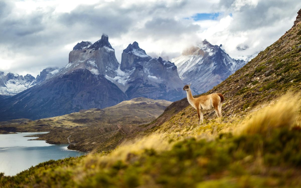 Salto del Guanaco