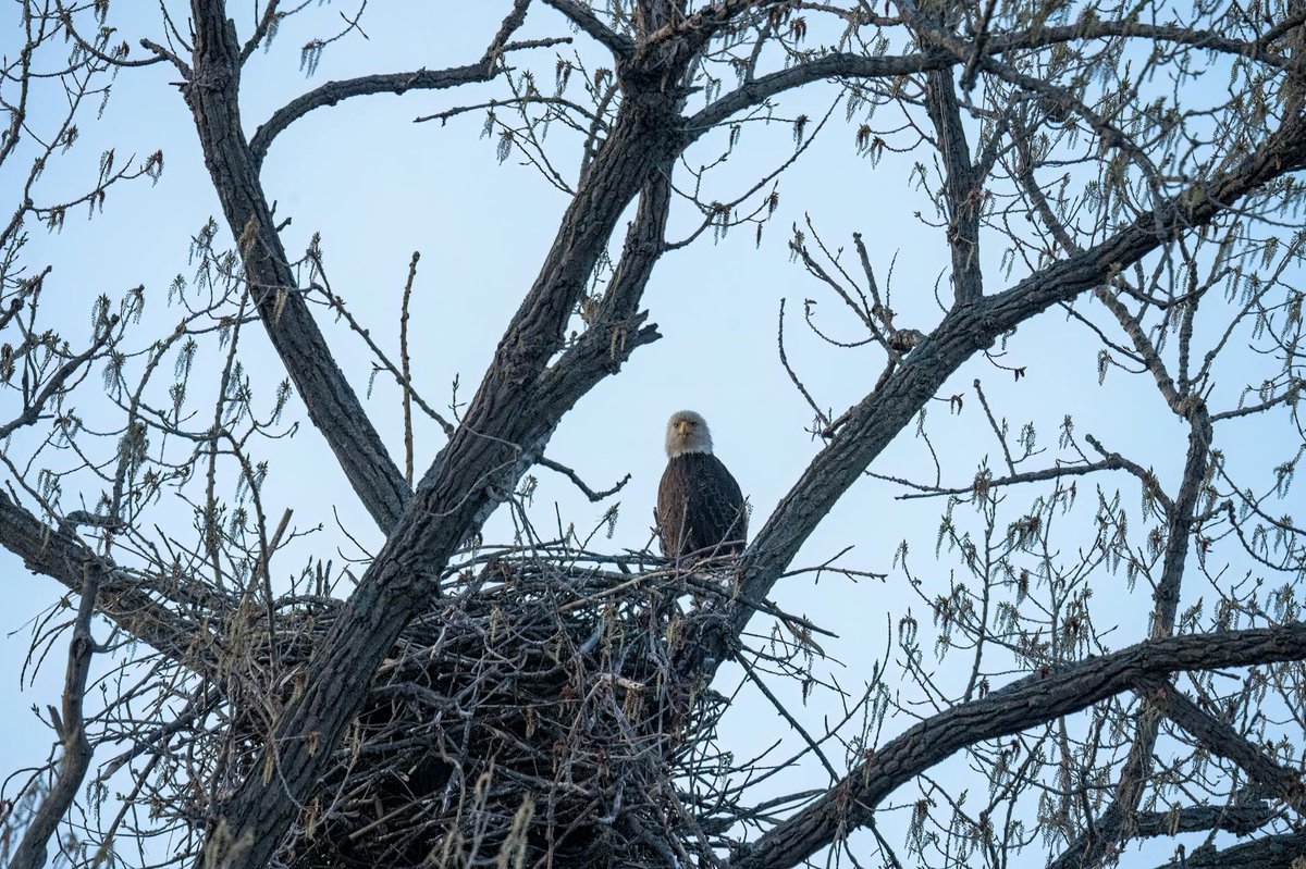 Eagle’s Nest Park