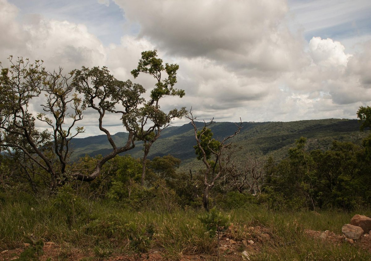 Serra da Bodoquena National Park
