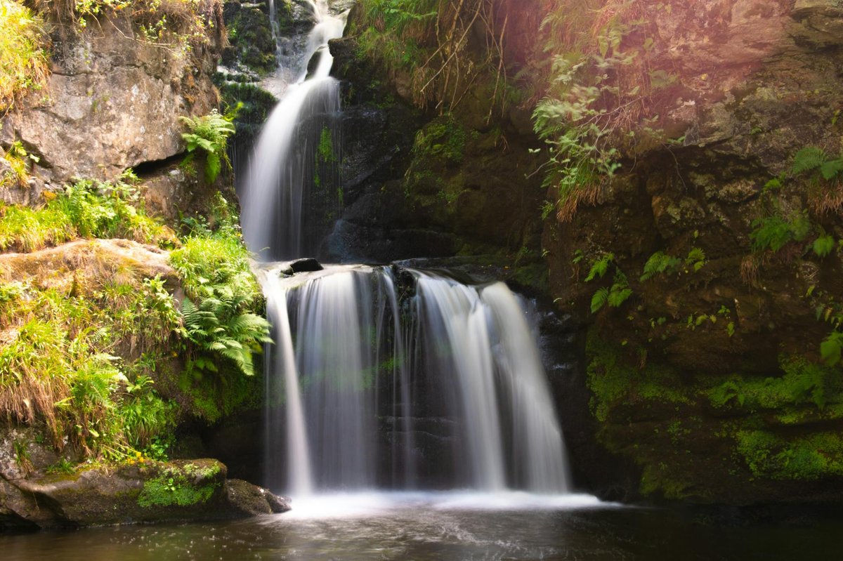 Fern Stream Waterfall