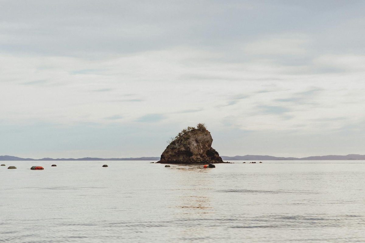 Rumble IV Seamount