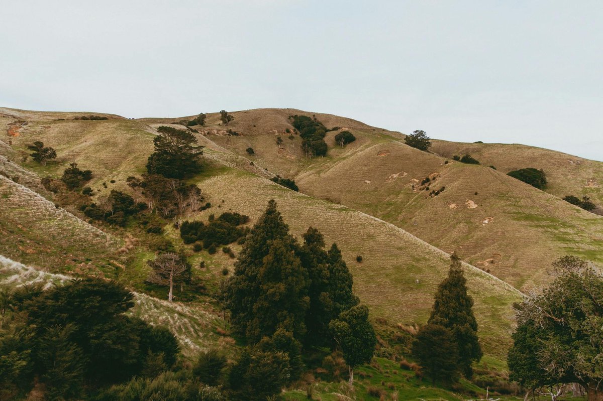 Birch Hill