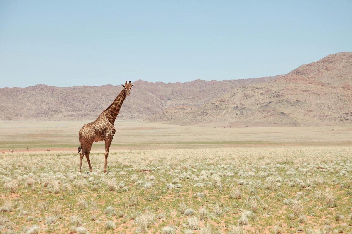 Namib-Naukluft National Park