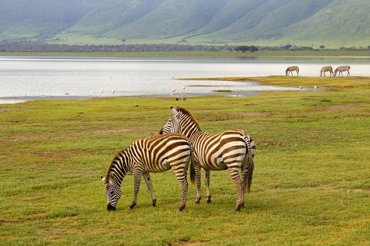 Lake Magadi