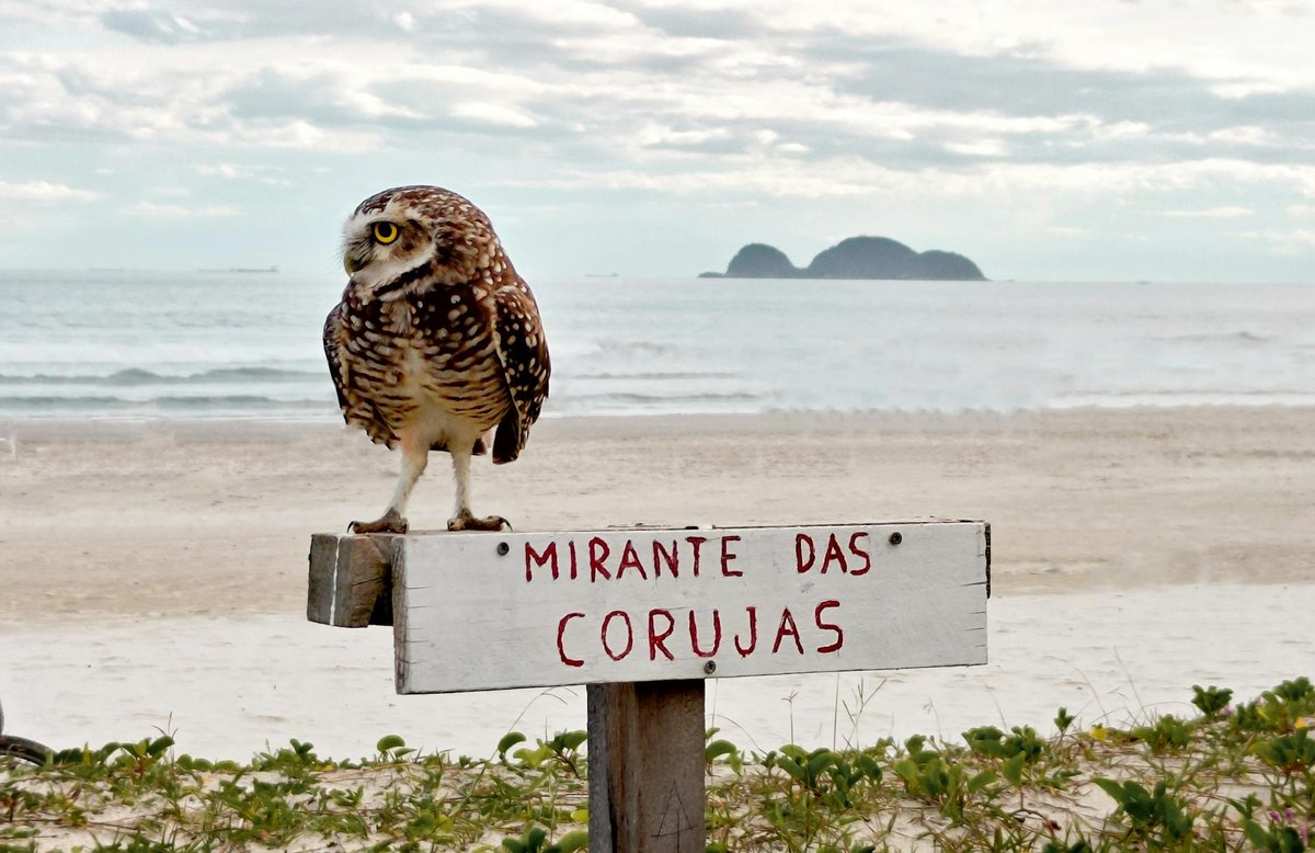 Mirante da Granja Guarani