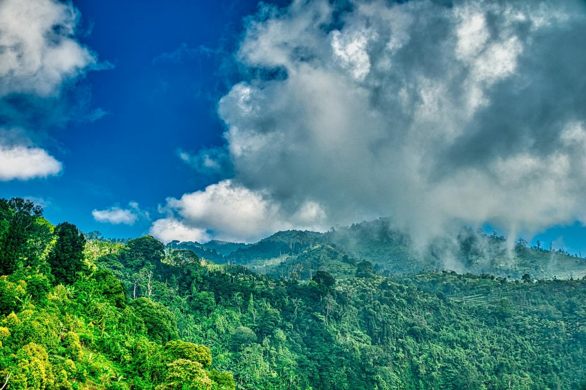 Mountain Karang