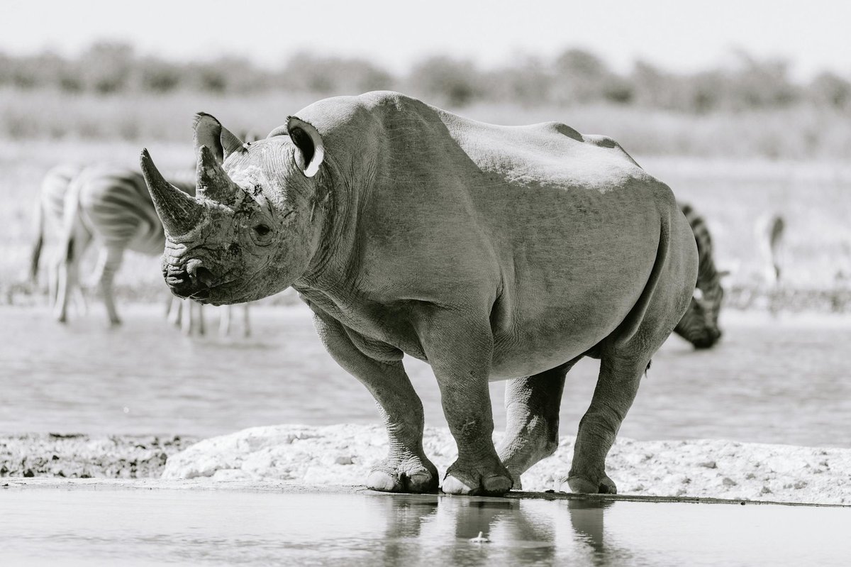 Babagadine Waterhole