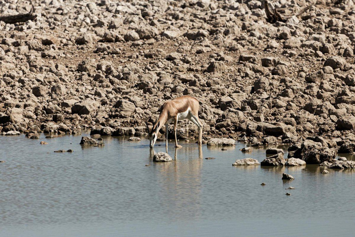 Skeleton Coast National Park
