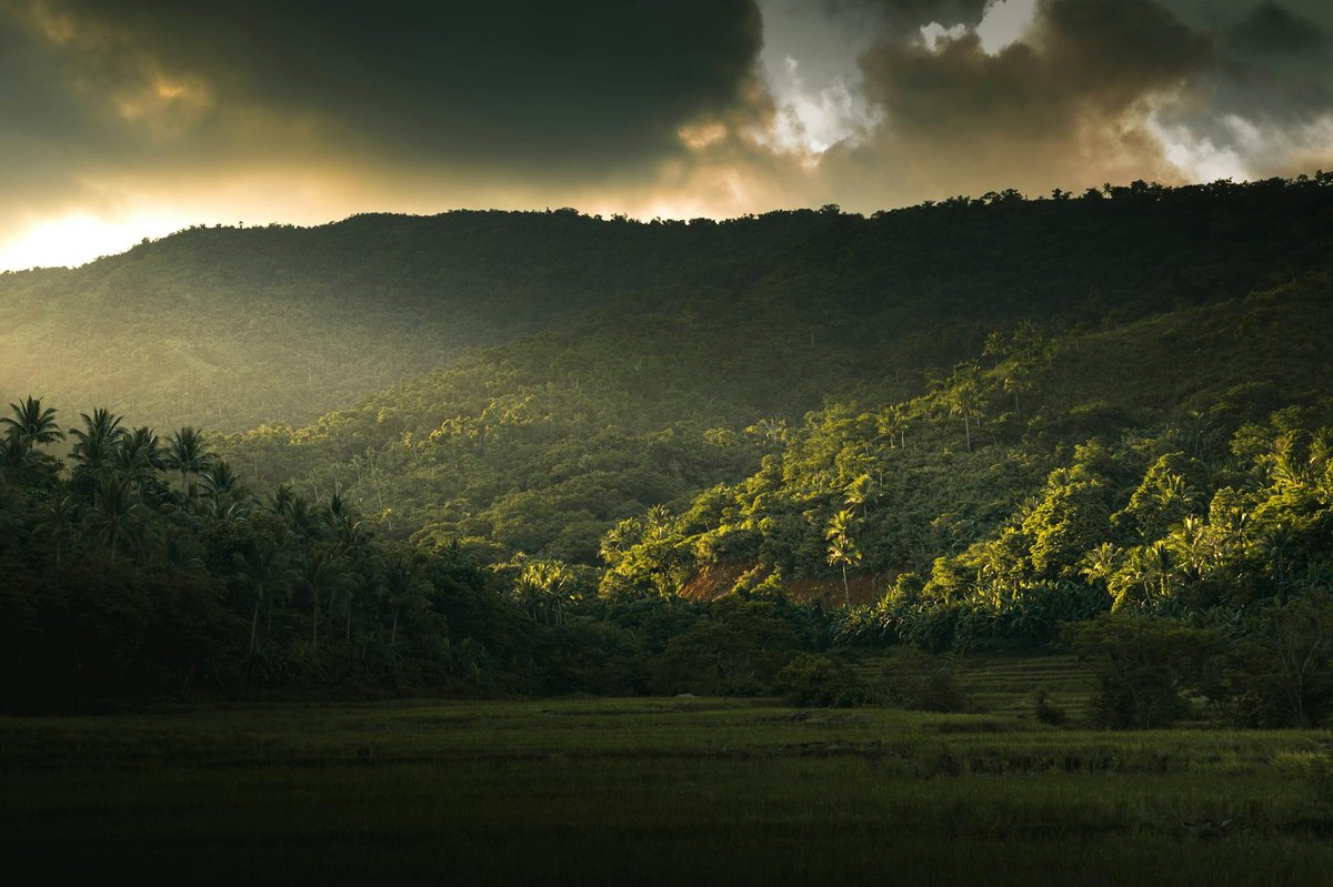 Jungle Mountain