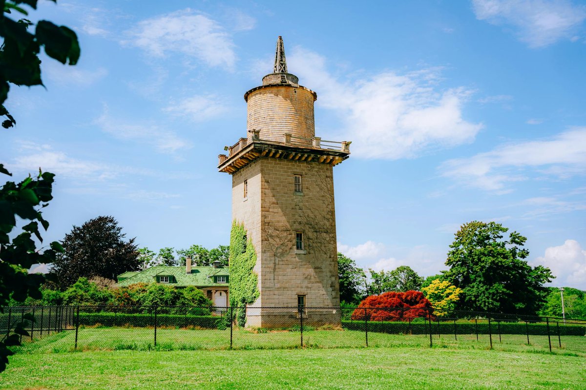 Viewing Tower in Clyne Gardens
